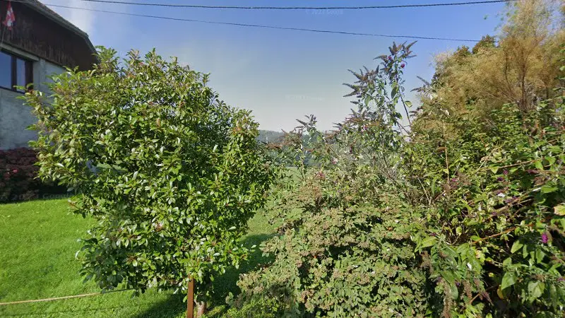 Vue de la rue devant Le Débosseleur, Saint-Pierre-d'Alvey