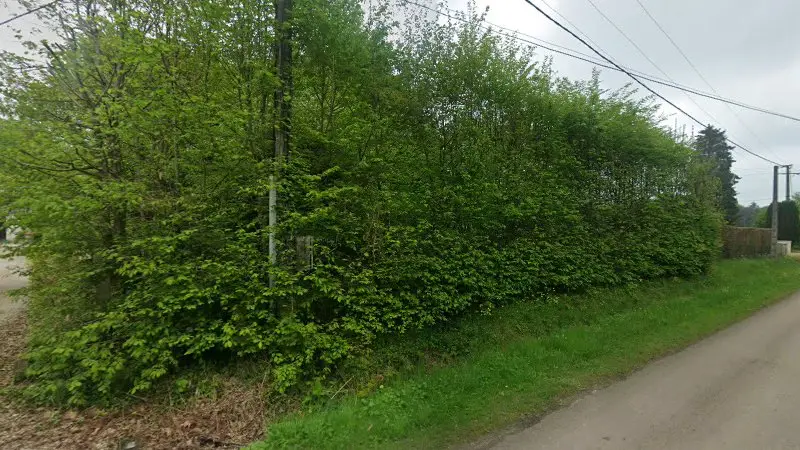Vue de la rue devant Vente de pièces détachées Automobile, Saint-Sauveur-en-Puisaye