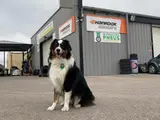 Photo de Rivesaltes Tyres and services