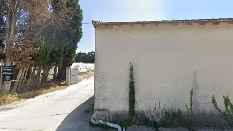 Vue de la rue devant Les vintage de la crau, Rognonas