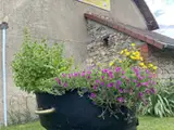 Photo de MVH Bailly Sebastien Garage / Guêpes et frelons