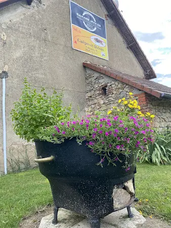 Photo publiée sur la fiche Google de MVH Bailly Sebastien Garage / Guêpes et frelons, Colombier