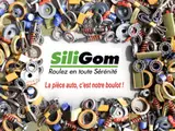 Photo de SILIGOM - CENTRAL PNEUS