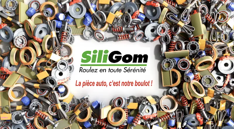 Photo publiée sur la fiche Google de SILIGOM - CENTRAL PNEUS, Fains-Véel