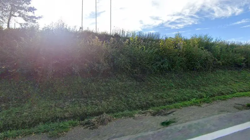 Vue de la rue devant Clovis - Villedieu les Poêles, Villedieu-les-Poêles-Rouffigny