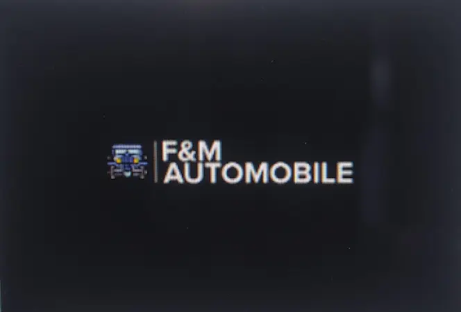 Photo publiée sur la fiche Google de F&M automobiles, Nueil-les-Aubiers