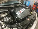 Photo de Wolf Cars 95