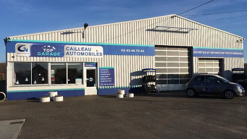 Photo publiée sur la fiche Google de TOP GARAGE - GARAGE CAILLEAU, Vaas
