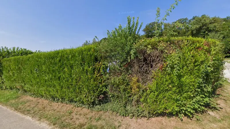 Vue de la rue devant Motrio - Renov Auto, Beaumotte-Aubertans