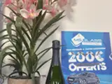 MSGLASS Detailing