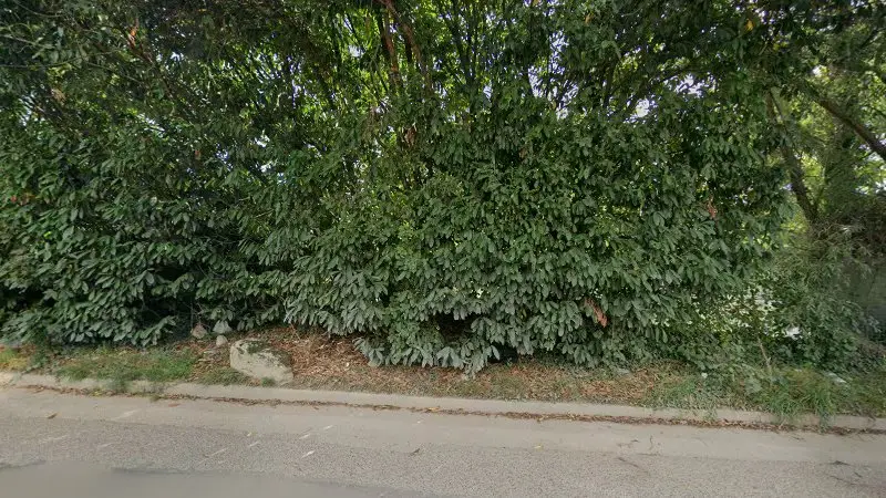 Vue de la rue devant Allo Mecanicien Domicile & Pneu - Essonne, Saulx-les-Chartreux
