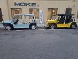 Photo de Moke Suncar France Sas