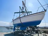 Photo de L'ami du bateau et de la voiture
