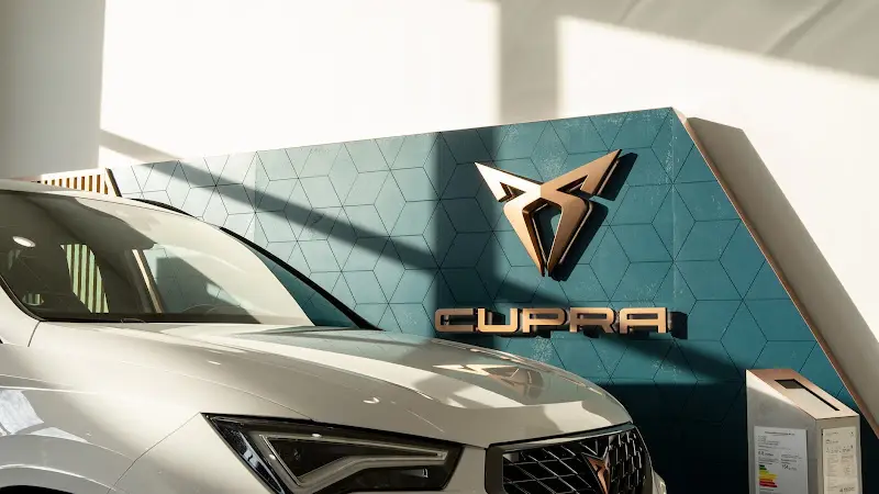 Photo publiée sur la fiche Google de Cupra Service, Villefranche-sur-Saône